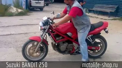 Дикая натура с пепельными крыльями: Искусство на двух колесах - Мотоцикл Suzuki Bandit.