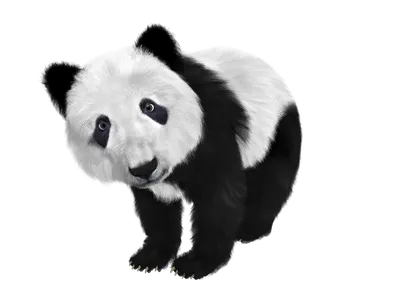 Мультяшный детеныш панды,жует бамбук…» — создано в Шедевруме