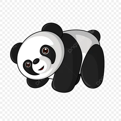 Большой размер панды, коготь для волос, мультяшная заколка в виде акулы,  креативная заколка для волос с животными, мытье лица – лучшие товары в  онлайн-магазине Джум Гик