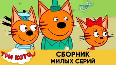 Три Кота | Сборник милых серий | Мультфильмы для детей😃 - YouTube