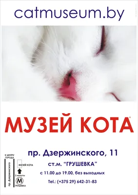 Фото: Музей кота, музей, Минск, Интернациональная ул., 23 — Яндекс Карты
