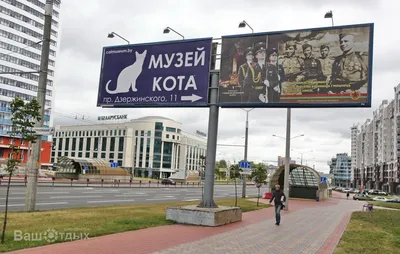 Музей Кота в Минске