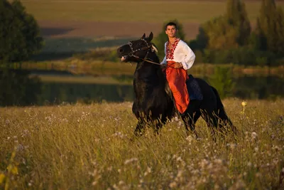 красивый мускулистый мужчина на лошади. Человек ездит на лошади на ферме.  Молодой жокей тренирует своего коня. Стоковое Фото - изображение  насчитывающей латинско, портрет: 246408410