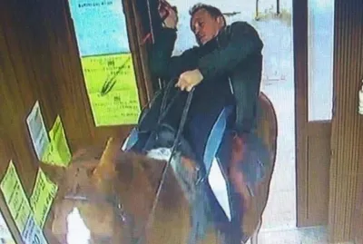Мужчина на коне устроил стрельбу из-за женщины, которая ему отказала