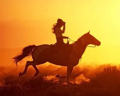 Девушка на коне | Пикабу