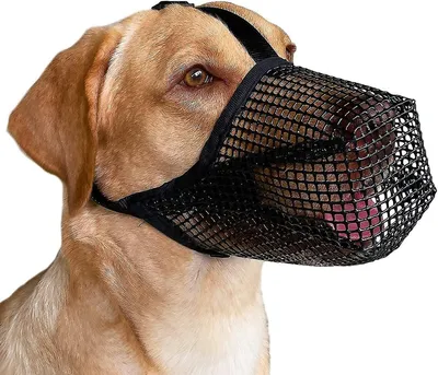 Намордник для собак с регулируемыми ремнями, мягкие намордники, покрытые  сеткой для маленьких средних крупных собак - купить с доставкой по выгодным  ценам в интернет-магазине OZON (916710016)