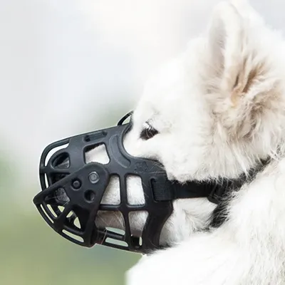 сетчатая намордник собаки для предотвращения укусов и жевания дышащие  регулируемые намордники для собак, лабрадор корги позволяет дышать и пить|  Alibaba.com