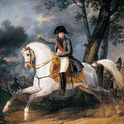 Вторая жизнь Визиря: в Париже реставрируют чучело коня Наполеона