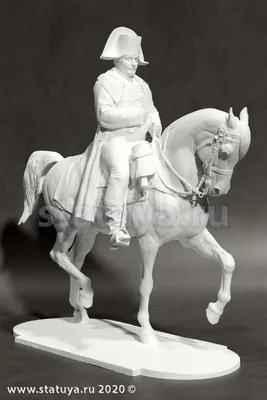 Наполеон на коне