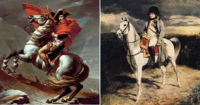 Маренго и Визирь: Любимые жеребцы Наполеона Бонапарта