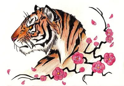 Нарисованный тигр - 75 фото
