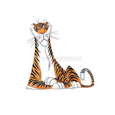 Тигр рисунок легкий для срисовки - 48 фото