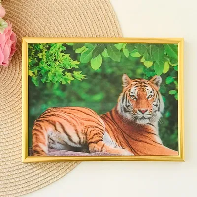 Тигр рисунок для детей - 64 фото