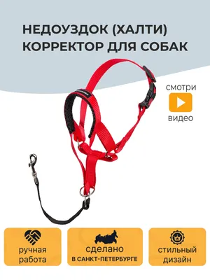 Намордник ZDK намордник для собак ZooWell желтый L купить по цене 269 ₽ с  доставкой в Москве и России, отзывы, фото