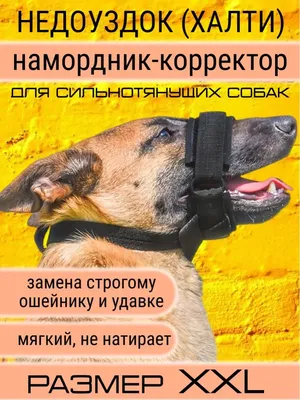 Купить намордник-петлю Trixie для собак, нейлоновый, XXL 22-35 см/28-38 см  (чёрный)) в Danio.com.ua