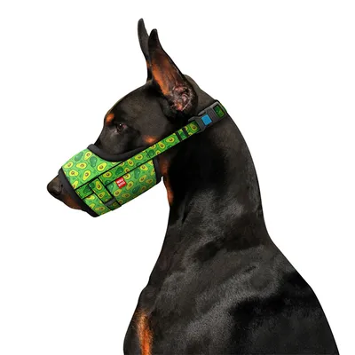 Купить Дышащий сетчатый намордник для собак Мягкий намордник для собак  Корзина для маленьких, средних и крупных пород собак | Joom