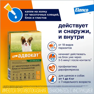 Капли на холку для собак БиоВакс антипаразитарные, 3 пипетки в mirkorma.ru