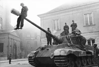 Сборная модель ZVEZDA Немецкий тяжелый танк T-VI «Тигр», 1/35 - ZV-3646 -  купить по оптовой цене в интернет-магазине RCstore.ru