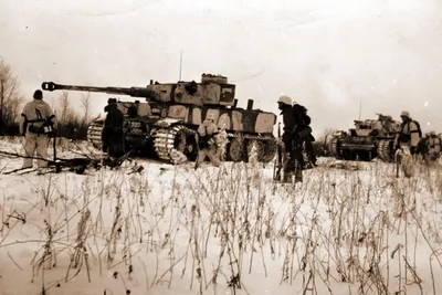 Подбитые немецкий танк Pz.Kpfw. VI «Тигр» и новозеландский M4 «Шерман» на  дороге к югу от Флоренции — военное фото