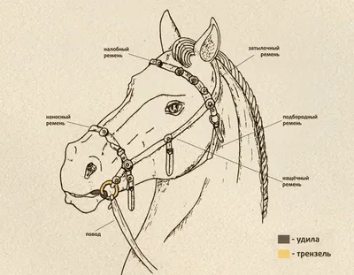 Невероятно красивая лошадь,необычный …» — создано в Шедевруме