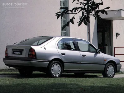 Nissan Primera (Ниссан Примера) - Продажа, Цены, Отзывы, Фото: 1049  объявлений