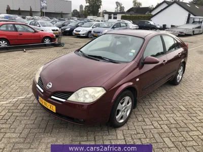 Used Nissan Primera Review - 2002-2006 | What Car?