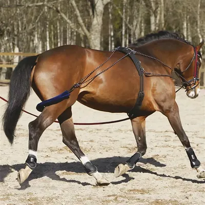 Бандаж для нога лошади, флисовый, обертывания бинтов, красный, 1 комплект |  AliExpress