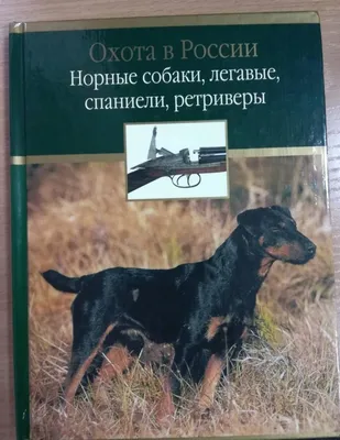 Охотничьи собаки | Иван Попов | Дзен
