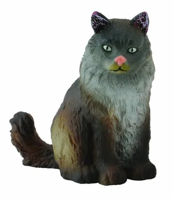 Мейн-кун Американский бобтейл Сибирский кот Норвежский лесной кот Усы,  другие, Разное, млекопитающее, кошка png | Klipartz