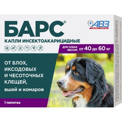 😱 Нотоэдроз — акариаз... - Ветеринарная клиника ГУФФИ Ижевск | Facebook