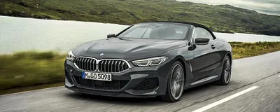 Купе BMW восьмой серии нового поколения удивило габаритами — ДРАЙВ