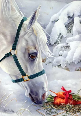 Лошадь Рождество Шляпа - Бесплатное фото на Pixabay - Pixabay