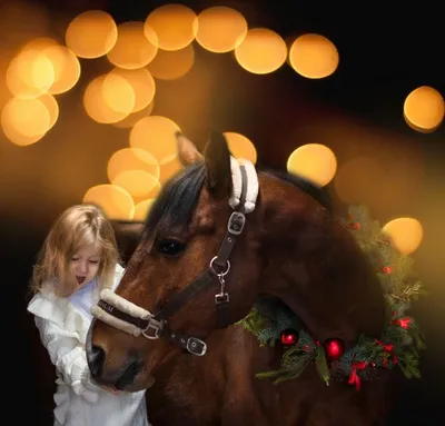 Лошадь в новогодней гирлянде ✾» — создано в Шедевруме