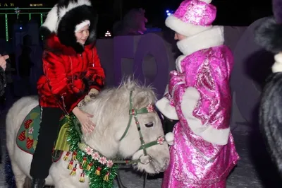 Раскраска Новогодняя лошадь распечатать или скачать