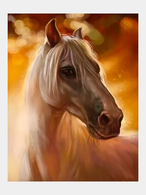 Портрет лошади в подарки шляпы и рождество санта красных Стоковое  Изображение - изображение насчитывающей изолировано, головка: 166663359