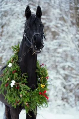 Новогодние световые фигуры «Золотая лошадь с санями» - Завод декора