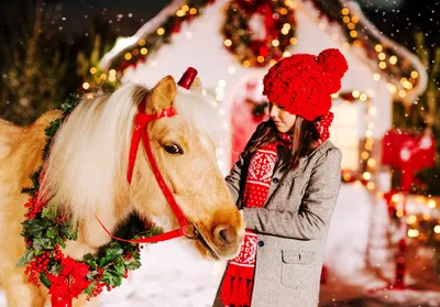 Алмазная мозаика новогодняя Лошадь, 30 * 40 см, без подрамника купить по  низким ценам в интернет-магазине Uzum (216576)