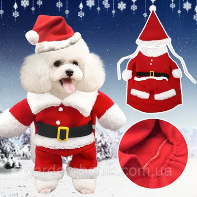 Костюм новогодний, толстовка \"Санта\" для собаки, кошки. Одежда для животных  (ID#629995609), цена: 400 ₴, купить на Prom.ua