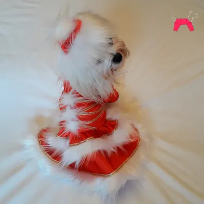 Костюм Снегурочки для собаки, купить в интернет-магазине Лохматая мода