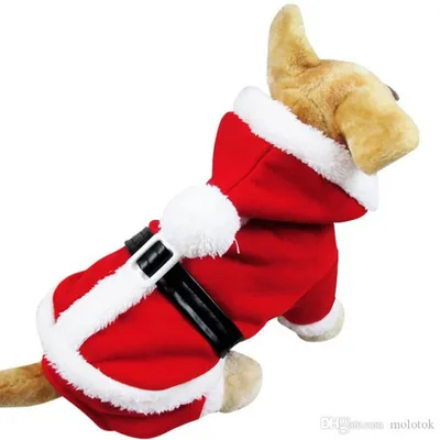 Купить Смертельная кукла, новинка, костюм кошки, забавная одежда для кошек,  вечерние костюмы для косплея, одежда для котенка на Хэллоуин, Рождество,  милый страшный и жуткий костюм для домашнего животного | Joom