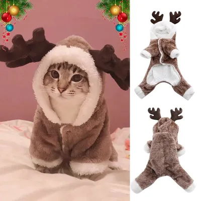 Самый удобный новогодний костюм для собак и кошек - воротничок! » Dogland -  Одежда для Собак