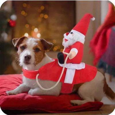 Костюм с шапкой для собак Christmas елочка XS зеленый (унисекс), цвет  Зеленый, цены, купить в интернет-магазине Четыре Лапы с быстрой доставкой