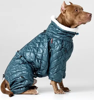 Штаны для собак теплые - купить в Москве, СПб | цены | Интернет магазин с  доставкой на дом | зоомагазин Puffy-Shop