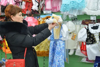 Новогодний костюм кот в сапогах — цена 290 грн в каталоге Карнавальные ✓  Купить товары для детей по доступной цене на Шафе | Украина #8700781