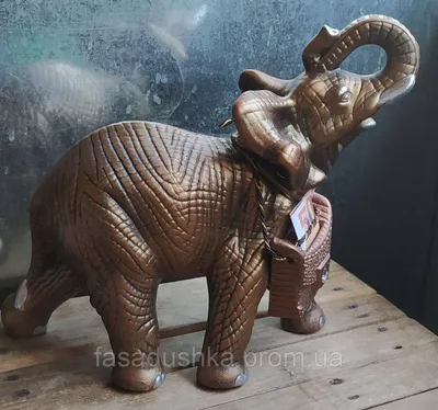 Новорожденный слон | ФОТО НОВОСТИ