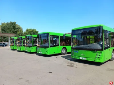 Новые низкопольные автобусы третьего поколения «МАЗ» вскоре появятся на  городских маршрутах - Минск-новости