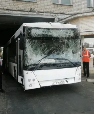 Пригородные автобусы МАЗ-257 нового поколения пополняют автопарки Беларуси