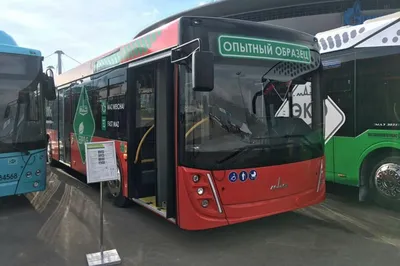 В Самару доставили не совсем новые автобусы МАЗ, три из них попали в ДТП по  пути