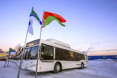 В Беларуси стали выпускать очень дешёвые автобусы, но не для нас
