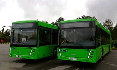 Новые автобусы МАЗ вышли на свои маршруты в Челябинской области